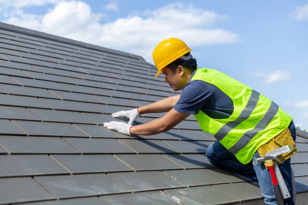 Best Roof Maintenance Services  in Lake Ridge, VA