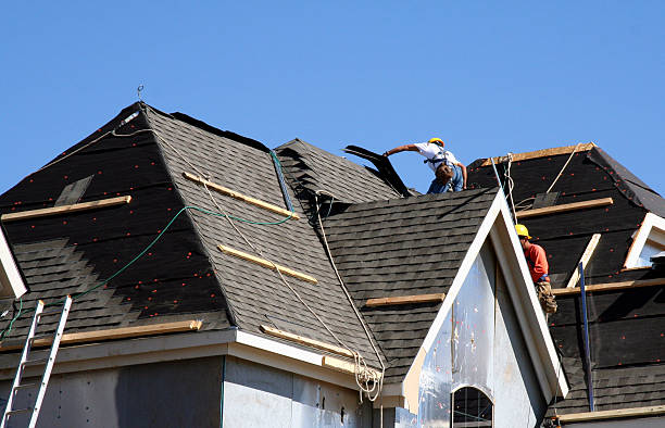 Best Storm Damage Roof Repair  in Lake Ridge, VA