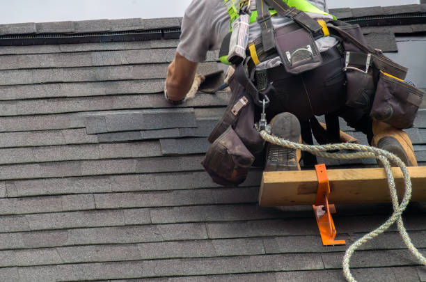 Best Roof Repair Services  in Lake Ridge, VA