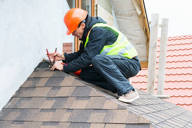 Best Gutter Installation and Roofing  in Lake Ridge, VA