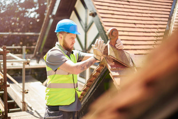 Best Flat Roof Repair Services  in Lake Ridge, VA